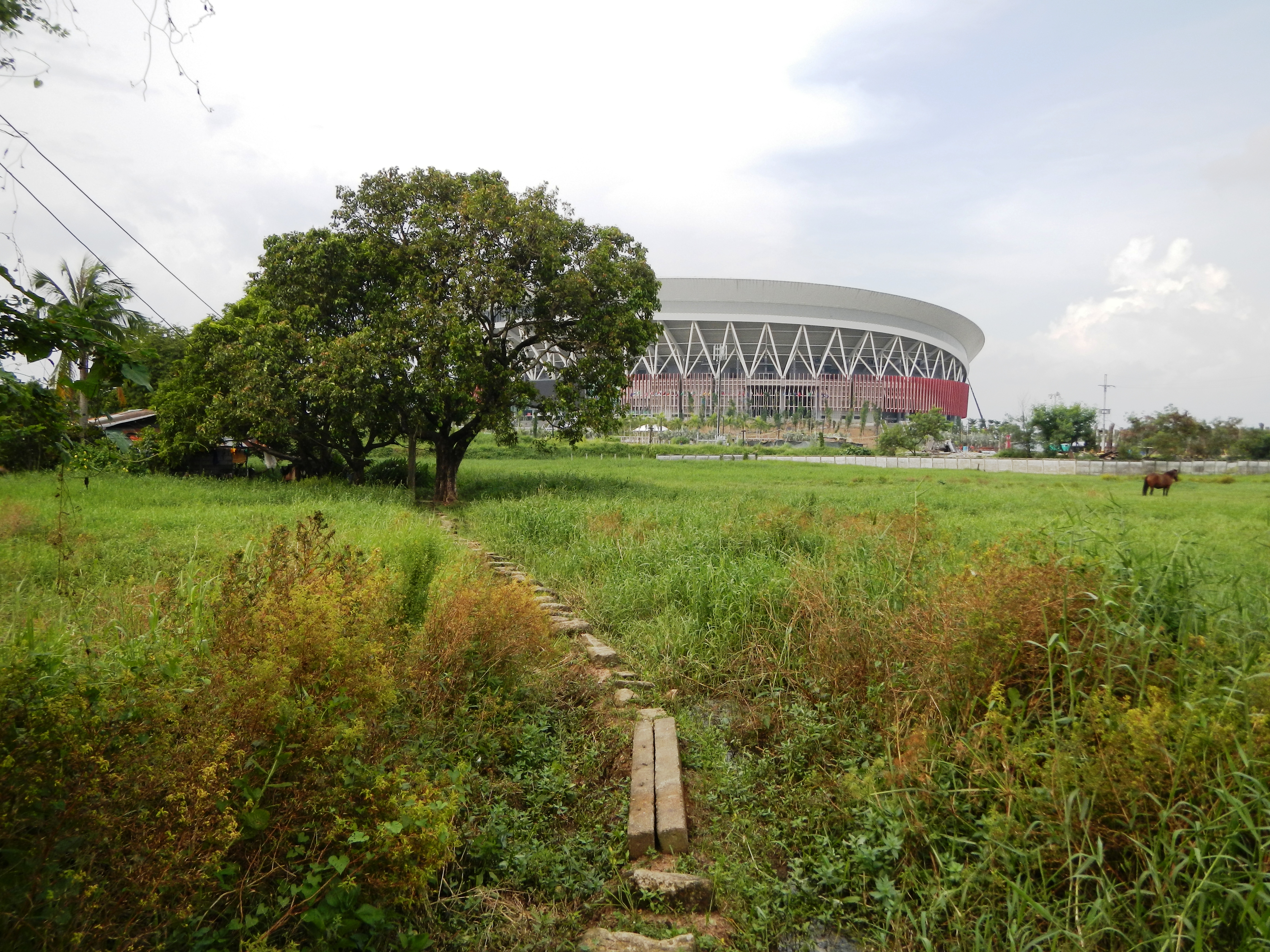 Picture of Philippine Arena